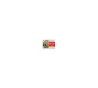 Erbamea Rolo Plus 36 compresse