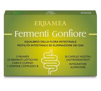 ERBAMEA Srl FERMENTI GONFIORE 20 CAPSULE GASTRORESISTENTI