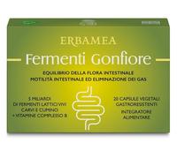ERBAMEA Srl Integratore Erbamea Fermenti Gonfiore, 20 capsule gastro