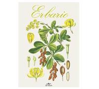 Erbario. Ediz. a colori
