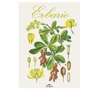 Erbario. Ediz. a colori