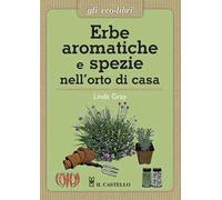 Erbe aromatiche e spezie nell'orto di casa