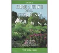 Erbe e felci per il giardino