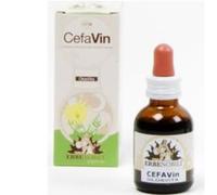 CEFAVIN 50ML