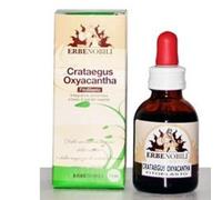 Erbenobili FITOBLASTO CRATAEGUS OXYACANTHA 50 ML