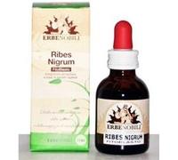erbenobili Fitoblasto ribes nigrum 50ml