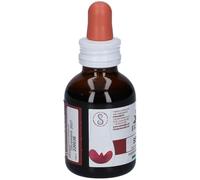 Erbe Nobili Fitomater Betulla – 50 ml