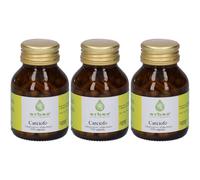 Erbex Carciofo Capsule 3x38 g Compresse