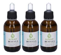 Erbex Gemmoderivato Betulla 3x50 ml Fluido