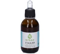 Erbex Gemmoderivato Faggio 50 ml Fluido