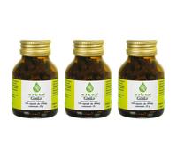 Erbex Ginkgo Biloba Capsule 3x38 g