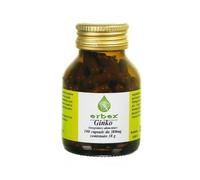 Erbex Ginkgo Biloba 100 Capsule 380 Mg