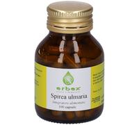Spirea Ulmaria 100 Capsule 430 Mg