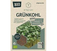erbgruen Cavolo Nero - Semi per Microgreens/Germogli BIO - 40 g