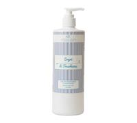 Erbolinea Bucato Concentrato Profumato, 500 ml, Fresh And Go