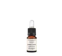 Erbolinea - Estratto Aromatico 10ml - Classiche (Zenzero e Limone)