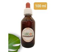 Erboristeria I Girasoli Ippocastano 1 DH Macerato Glicerico 100 ml