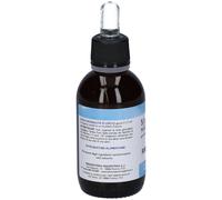 Erboristeria Magentina RIBES NIGRUM MACERATO MAGENTINA 50 ML