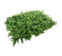 Erboso Artificiale Decorazione Parete Decorazione Parete Pianta Parete Fiore 1 P