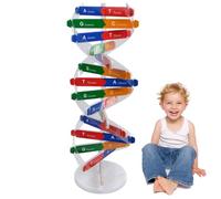 Ercoiong Modello di Dna, Struttura a Doppia Kit Modello molecolare Generico, 5x13 Struttura Biologica su Larga Scala Geni Umani Componenti Scienza Insegnamento educativo Forniture molecolari Kit