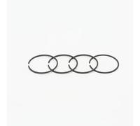 ERDHFG Fascia Elastica Adatta for decespugliatore FS120 FS200 FS250 FS 120 200 250 Ricambi 4119 034 3001/4119 034 3005(FS250 40MM X1.5MM)
