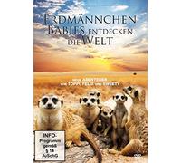 Erdmännchen Babies entdecken die Welt