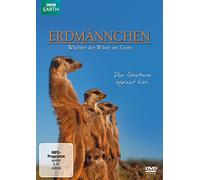 Erdmännchen - Wächter der Wüste im Team