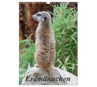 Erdmännchen (Wandkalender 2027 DIN A3 hoch), CALVENDO Monatskalender