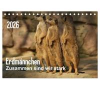 Erdmännchen - Zusammen sind wir stark (Tischkalender 2026 DIN A5 quer), CALVENDO Monatskalender: Bilder vom Erdmännchen-Alltag