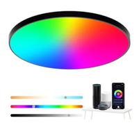 Eregou Lampada da soffitto LED dimmerabile, 24W 2400LM Smart RGB LED plafoniera Alexa, lampada da soggiorno IP44 Lampada da camera da letto, compatibile con Alexa APP Google Assistant, 2700K-6500K