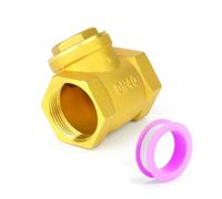 ERGAOBOY 1 pezzi valvola di ritegno a battente in ottone, valvola di non ritorno femmina BSP da 1-1/2", raccordo idraulico per impedire il riflusso del fluido per olio, acqua, gas e aria