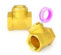 ERGAOBOY 2 pezzi valvola di ritegno a battente in ottone, valvola di non ritorno femmina BSP da 1", raccordo idraulico per impedire il riflusso del fluido per olio, acqua, gas e aria