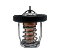 eRgDFS 17670-94J00 Termostato 60 Gradi Compatibile con Motori fuoribordo Sz-uki Marine DF8A 9.9 15 20 25 30A 17670-94J00 17670-94J01 OMC 5036226