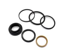 eRgDFS Power Trim Cylinder Seal Kit Compatible with DPS-A SX-A Models 3889954 3889955 3889956 3889957 3889958 3889959