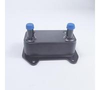 eRgDFS Radiatore 'Olio Compatibile con i Modelli -Doo GTX RXP RXT 130 155 170 215 230 255 260 300 420888878 420888877