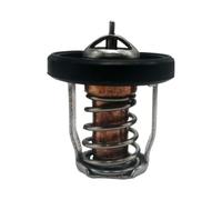 eRgDFS Termostato 50° 17670-91J01 17670-91J00 17670-91J02 Compatibile con Motori Marini Fuoribordo DF2.5 DF4 DF6 DF9.9 DF15 DF20