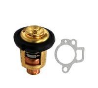 eRgDFS Termostato 66M-12411-00 6G8-12411 E Guarnizione 62Y-12411-A1 Compatibile con Motori 4 Tempi 2.5HP 4HP 8HP 15HP 30HP 40HP 50HP 60HP 70HP 80HP