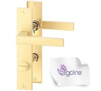 ERGO line CUBE guarnizione quadrata per porte, oro opaco, maniglie per porte del bagno WC set di maniglie con piastra di copertura lunga, guarnizione per porte, maniglia, Ottone spazzolato