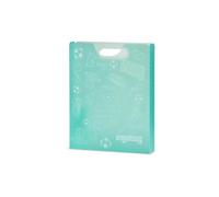 ergobag Folder Box With Carrying Handle Football