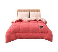 Ergocar Coperta, Addensare Coperta Doppio Strato di Alta Qualità, Lanuginosa Coperta di Flanella, Coperta da Divano Caldo Morbida, per Letto, Divano e Sedie, Regalo Pratico