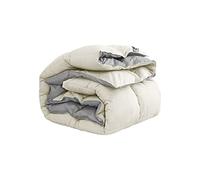 Ergocar Soffice Piumino 220x240 cm, Piumone Matrimoniale Piuma D'Oca, Morbido e Confortevole Piumino, Piumino Letto Singolo Invernale