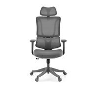 Ergomy Colore | Tessuto / Rete 3D | Struttura: Multicolore - Sedia Home Office Grigio