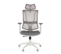 ERGOMY W | Tessuto / Rete | Struttura: Bianco - Sedia da ufficio professionale Grigio