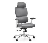 Ergomy WF 2 | Tessuto | Struttura: Bianco - Sedia da ufficio professionale Grigio