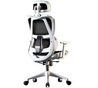 Ergonomic Office Chair Desk Computer Chairs Lumbar Support Adjustable Headrest High Back 3d Armrest Executive Swivel Gaming Home