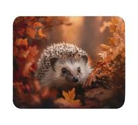 Ergonomico Tappetino per Il Mouse Cute Hedgehog in Autumn Gaming Mousepad Tampone per Mouse 25x30cm per PC,Ufficio,Laptop