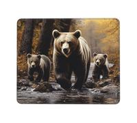 Ergonomico Tappetino per Il Mouse, Mother Bear And Her, Confortevole Tappetino per Mouse, Mousepads, 25X30cm, Notebook, Computer, Ufficio