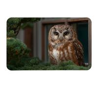 Ergonomico Tappetino per Il Mouse, Owl Sitting By The Window, Personalizzato Tampone per Mouse, Gaming Mousepad, 25X30cm, Ufficio, PC, Laptop