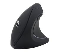 Ergonomico Wireless Mice, Wireless Computer, Vertical Receiver Ricaricabile Input Device, Comfortable Precision Tool for Laptop Study Professional Creation Business Trip Home Office Use