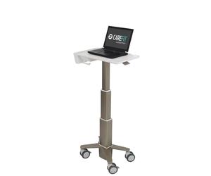 Ergotron C50-1100-0 Supporto per libri Supporto per Laptop Grigio 39,6 cm (15,6 ) - Nouvo